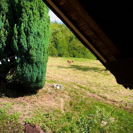Hotel Ferien Im Schwarzwald Freiamt Exterior foto